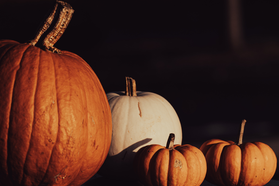 Halloween at The Willow