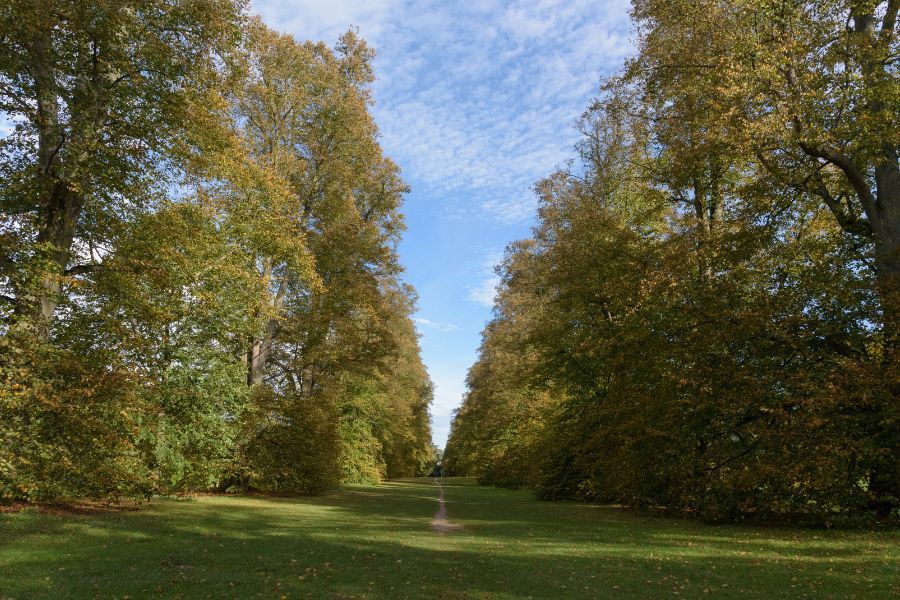 Secondary Image